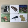 Memory : Ikea dieren