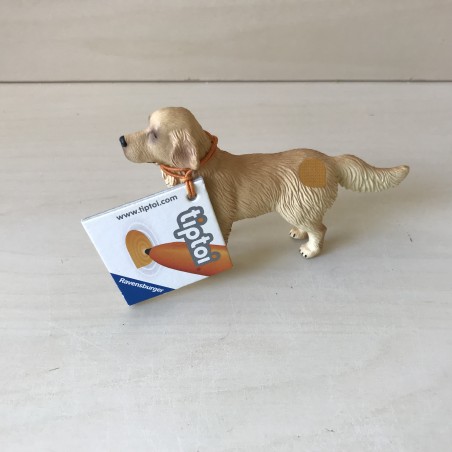 Tiptoi. Golden retriever.