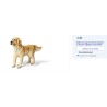 Tiptoi. Golden retriever.