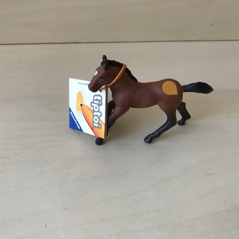 Tiptoi. Veulen