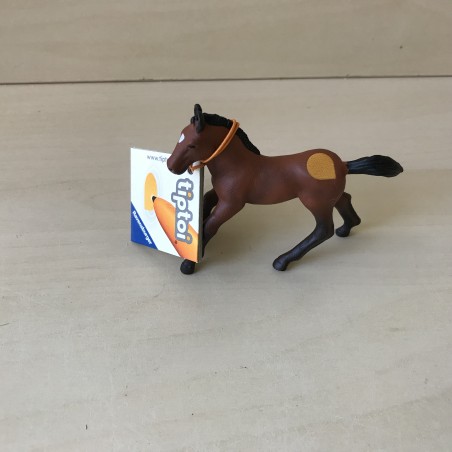 Tiptoi. Veulen