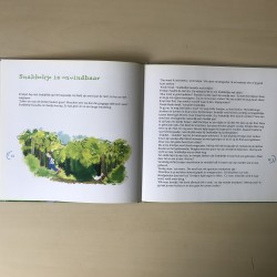 Jaap ter Haar : Ernstjan en Snabbeltje. Eendenstreken