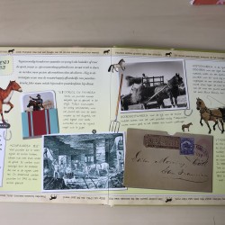 Handboek voor paardenvrienden.