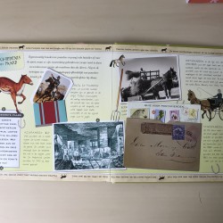 Handboek voor paardenvrienden.