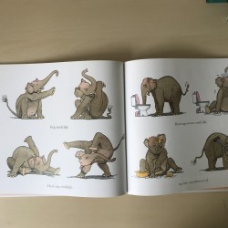 Wat een kat