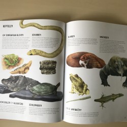 Het mooie dierenrijk
