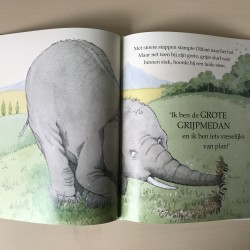 De grote Grijpmedan