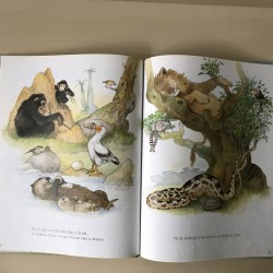 Van Mug tot Olifant
