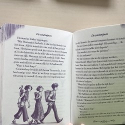 Thea Stilton: De schaduwprinses . Prinsessen van Fantasia 5
