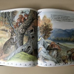 Speurtocht naar : Het konijntje
