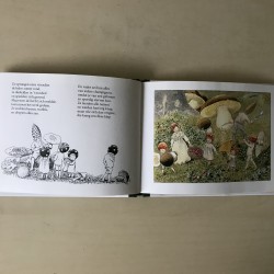 De kabouterkinderen