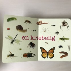Die is klein