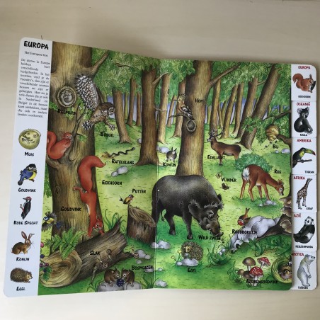 Dieren uit de hele wereld.