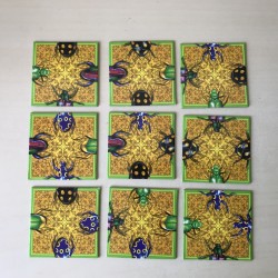 Beautiful Bugs : Nature puzzle 9 stukjes