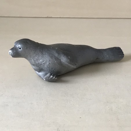 Zeehond