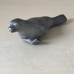 Zeehond