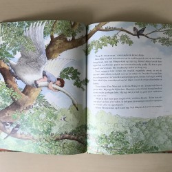 Roald Dahl : De Minpins