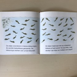 Ik ben ‘n kikker