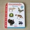 Allereerste stapjes. Boerderij