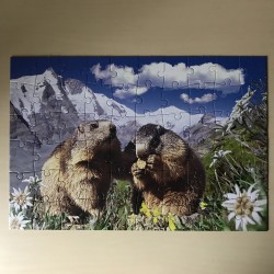 Puzzel : Marmotten. 60 stukjes
