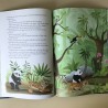 De fantastische reis van Panda.