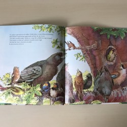 Wie schildert de dag zo mooi?