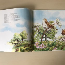 Wie schildert de dag zo mooi?