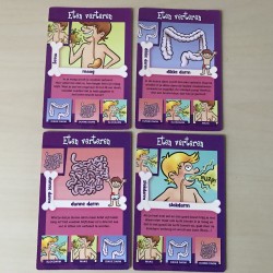 Weetjes kwartet : Het menselijk lichaam
