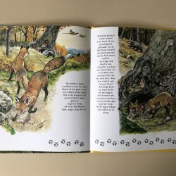 Speurtocht naar : Het vosje