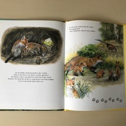 Speurtocht naar : Het vosje