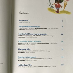 Gouden boek voor jongens