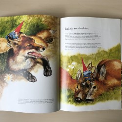 David de Kabouter: Leven en werken van  de kabouter