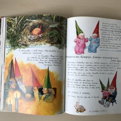 David de Kabouter: Leven en werken van  de kabouter