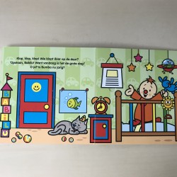 Bumba: Bumba is jarig. Flapjesboek