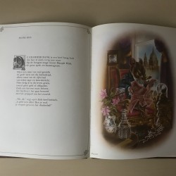 Het vlinderbal en het sprinkhanenfeest