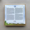Kikker & vriendjes : Lotto