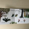 De dieren van Fiep
