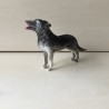 Wolf.