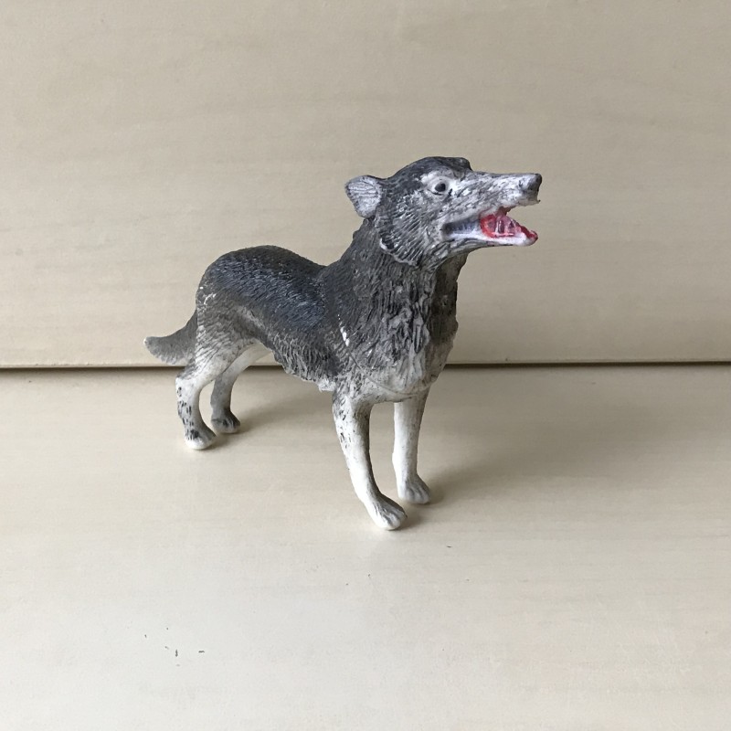 Wolf.