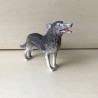 Wolf.