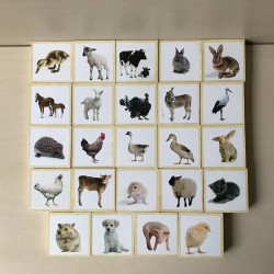 Memo : Boerderijdieren.