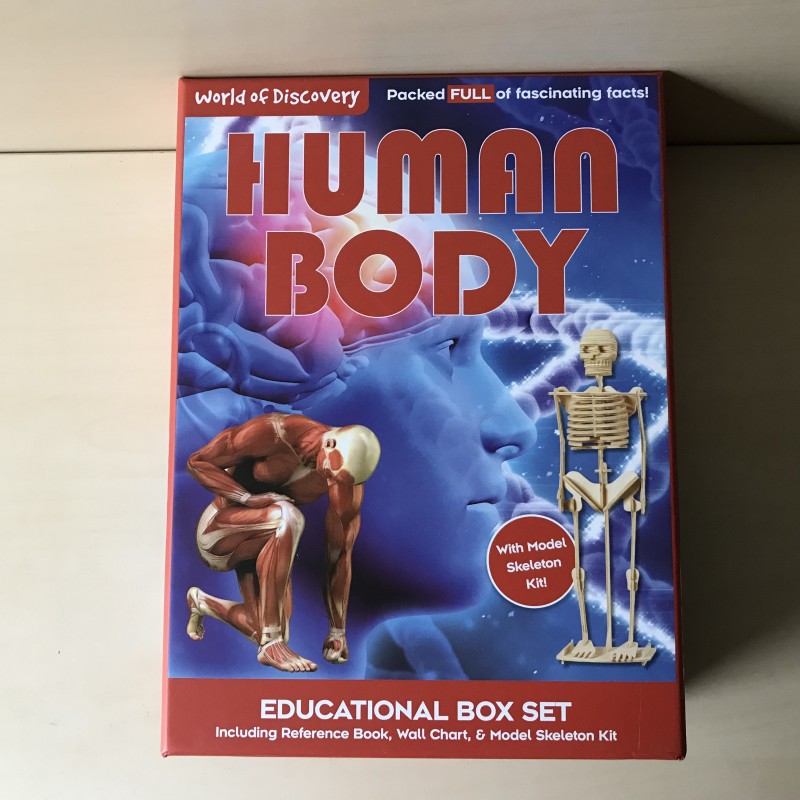 Het menselijk lichaam / human body. Ongebruikt