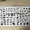 1001 dieren