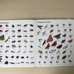 1001 dieren