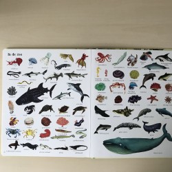1001 dieren