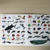 1001 dieren