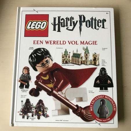 Lego Harry Potter : een wereld vol magie - poppetje