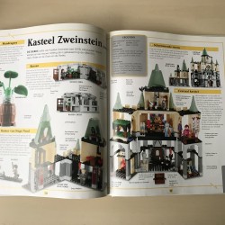 Lego Harry Potter : een wereld vol magie - poppetje