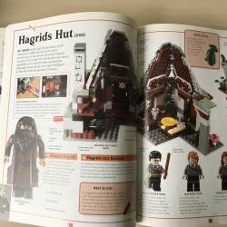 Lego Harry Potter : een wereld vol magie - poppetje