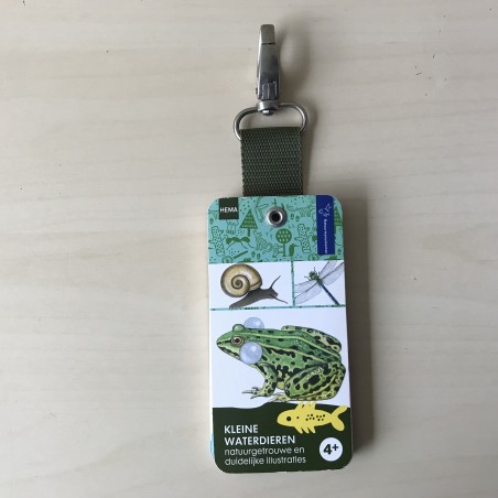 Kleine waterdieren.